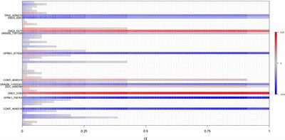 Dopaminergic and Opioid Pathways Associated with Impulse Control Disorders in Parkinson’s Disease